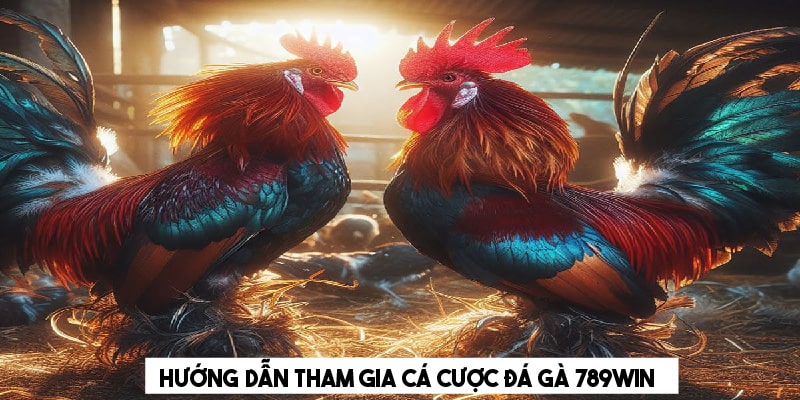 Chi tiết về luật chơi và quy trình tham gia chuyên mục đá gà